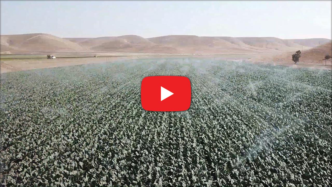 Watch Start-Matic Impact Sprinkler Check Valves on YouTube
